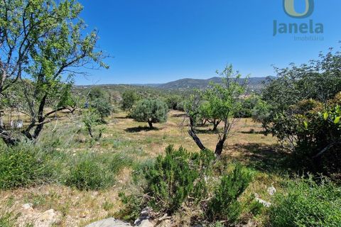 Helårsgrund i Estoi, Faro, Estoi - € 450.000 | Ref: TR13229 - foto 17