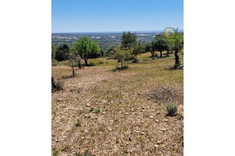 Helårsgrund i Estoi, Faro, Estoi - € 450.000 | Ref: TR13229 - foto 19