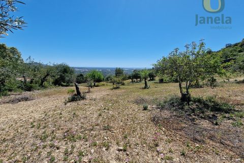 Helårsgrund i Estoi, Faro, Estoi - € 450.000 | Ref: TR13229 - foto 20