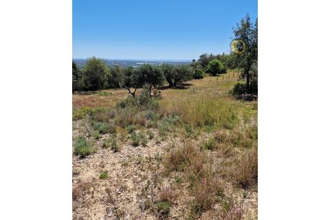 Helårsgrund i Estoi, Faro, Estoi - € 450.000 | Ref: TR13229 - foto 22
