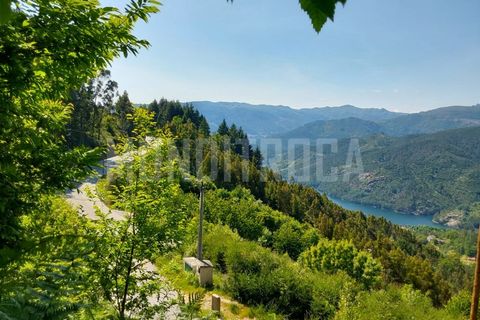 Helårsgrund i Paredes, Porto, Paredes - € 167.500 | Ref: 3476 - foto 3