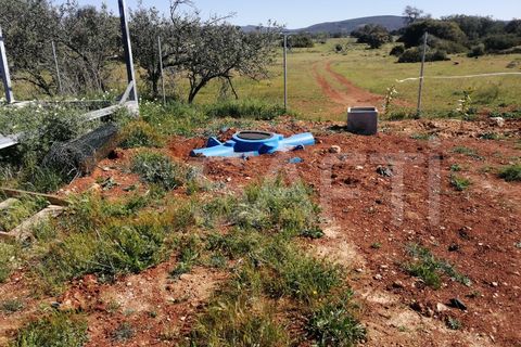 Helårsgrund i Paderne, Faro, Paderne - € 67.000 | Ref: SAFTI:003254 - foto 3
