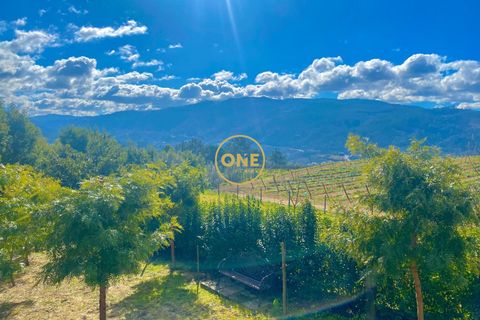 Farm i Amarante, Porto, Amarante - € 580.000 | Ref: ONE111428-2 - foto 3