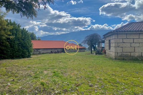 Farm i Amarante, Porto, Amarante - € 580.000 | Ref: ONE111428-2 - foto 6