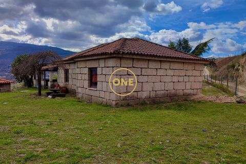 Farm i Amarante, Porto, Amarante - € 580.000 | Ref: ONE111428-2 - foto 19