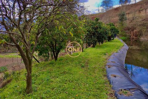 Farm i Amarante, Porto, Amarante - € 580.000 | Ref: ONE111428-2 - foto 21
