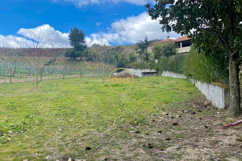 Farm i Amarante, Porto, Amarante - € 580.000 | Ref: ONE111428-2 - foto 39