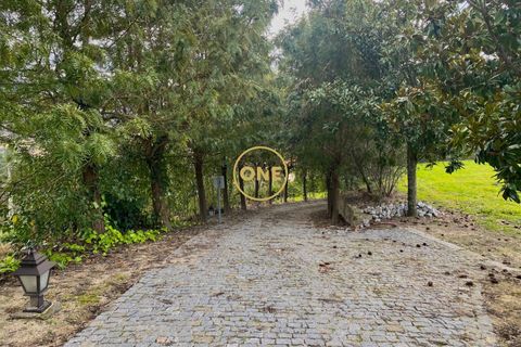 Farm i Amarante, Porto, Amarante - € 580.000 | Ref: ONE111428-2 - foto 40