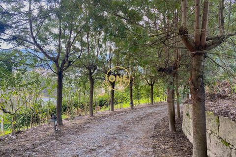 Farm i Amarante, Porto, Amarante - € 580.000 | Ref: ONE111428-2 - foto 41