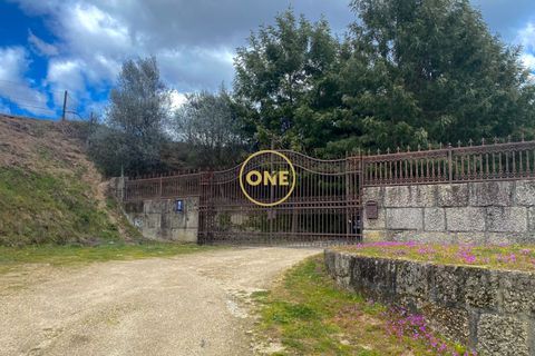 Farm i Amarante, Porto, Amarante - € 580.000 | Ref: ONE111428-2 - foto 42