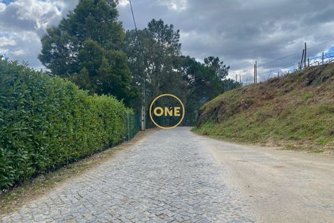 Farm i Amarante, Porto, Amarante - € 580.000 | Ref: ONE111428-2 - foto 43