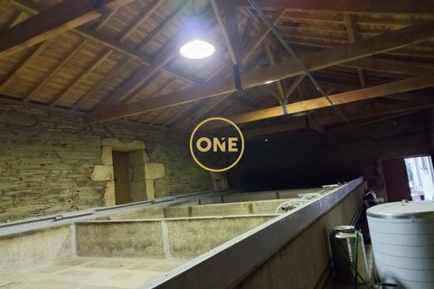 Farm i Torre de Moncorvo, Braganca, Torre de Moncorvo - € 2.500.000 | Ref: ONE111425-1 - foto 6