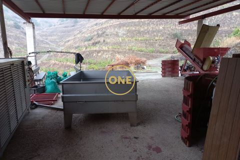 Farm i Torre de Moncorvo, Braganca, Torre de Moncorvo - € 2.500.000 | Ref: ONE111425-1 - foto 8
