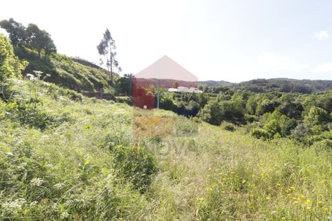 Helårsgrund i Vila Verde, Braga, Vila Verde - € 56.150 | Ref: 08074 - foto 9