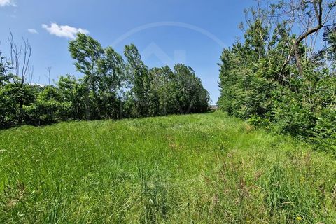 Farm i Guimaraes, Braga, Guimaraes - € 217.000 | Ref: Q506 - foto 4
