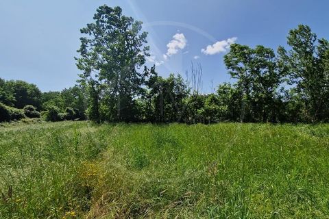 Farm i Guimaraes, Braga, Guimaraes - € 217.000 | Ref: Q506 - foto 5