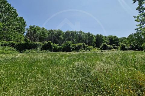 Farm i Guimaraes, Braga, Guimaraes - € 217.000 | Ref: Q506 - foto 6