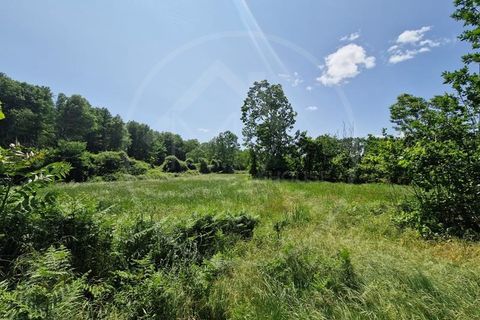 Farm i Guimaraes, Braga, Guimaraes - € 217.000 | Ref: Q506 - foto 7