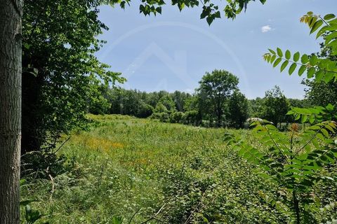 Farm i Guimaraes, Braga, Guimaraes - € 217.000 | Ref: Q506 - foto 8