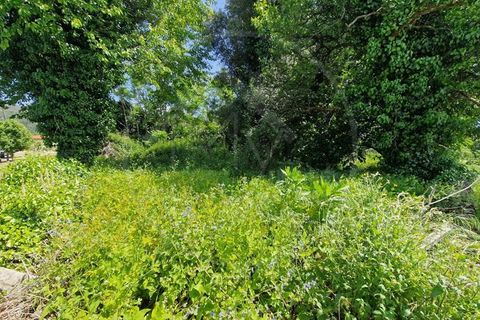 Farm i Guimaraes, Braga, Guimaraes - € 217.000 | Ref: Q506 - foto 9