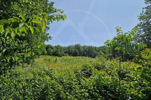 Farm i Guimaraes, Braga, Guimaraes - € 217.000 | Ref: Q506 - foto 10