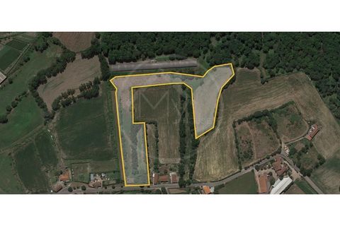 Farm i Guimaraes, Braga, Guimaraes - € 217.000 | Ref: Q506 - foto 12