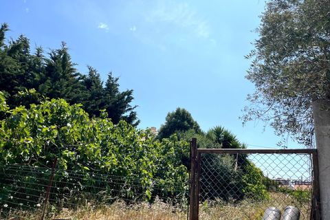 Terreno en Alcabideche, Lisbon, Alcabideche - € 320.000 | Ref: T/4501-FR - photo 6
