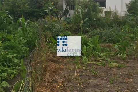Helårsgrund i Pombal, Leiria, Pombal - € 25.000 | Ref: TER4957 - foto 4