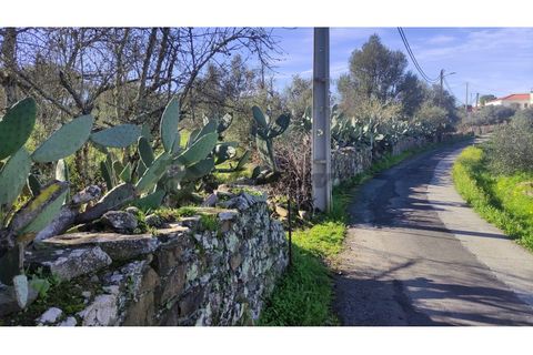 Helårsgrund i Almodovar, Beja, Almodovar - € 23.000 | Ref: SÒL_16 - foto 2