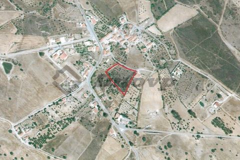 Helårsgrund i Almodovar, Beja, Almodovar - € 23.000 | Ref: SÒL_16 - foto 3
