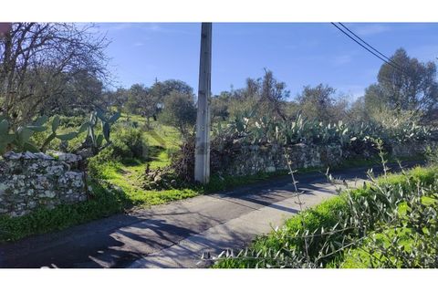 Helårsgrund i Almodovar, Beja, Almodovar - € 23.000 | Ref: SÒL_16 - foto 5