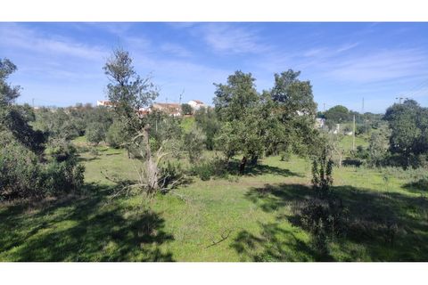 Helårsgrund i Almodovar, Beja, Almodovar - € 23.000 | Ref: SÒL_16 - foto 6