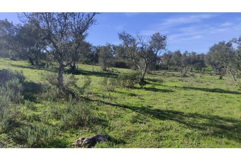 Helårsgrund i Almodovar, Beja, Almodovar - € 23.000 | Ref: SÒL_16 - foto 7
