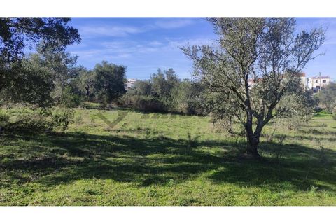 Helårsgrund i Almodovar, Beja, Almodovar - € 23.000 | Ref: SÒL_16 - foto 8