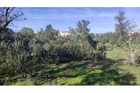 Helårsgrund i Almodovar, Beja, Almodovar - € 23.000 | Ref: SÒL_16 - foto 9