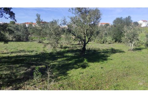 Helårsgrund i Almodovar, Beja, Almodovar - € 23.000 | Ref: SÒL_16 - foto 10