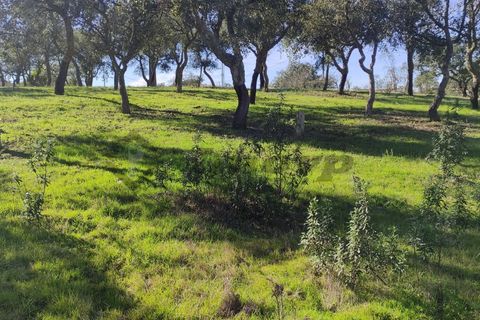 Helårsgrund i Almodovar, Beja, Almodovar - € 23.000 | Ref: SÒL_16 - foto 1