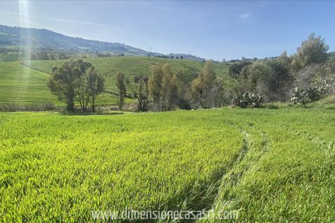Helårsgrund i Caltanissetta, Caltanissetta, Caltanissetta - € 22.000 | Ref: TA61 - foto 3