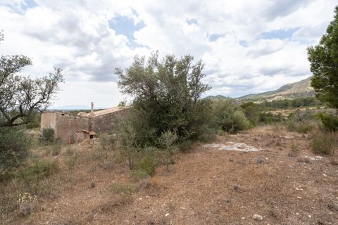 Finca i Xerta, Tarragona, Xerta - € 28.000 | Ref: 862 - foto 15