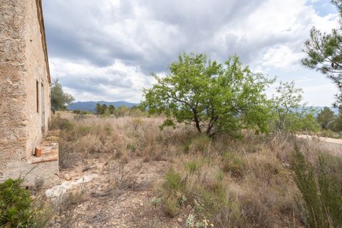 Finca i Xerta, Tarragona, Xerta - € 28.000 | Ref: 862 - foto 13
