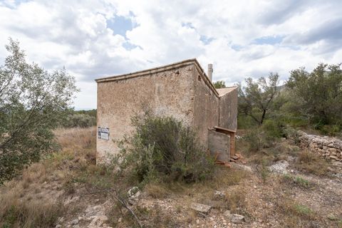 Finca i Xerta, Tarragona, Xerta - € 28.000 | Ref: 862 - foto 16