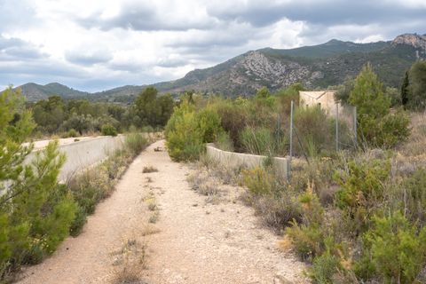 Finca i Xerta, Tarragona, Xerta - € 28.000 | Ref: 862 - foto 12