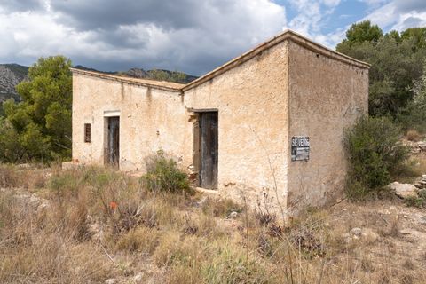 Finca i Xerta, Tarragona, Xerta - € 28.000 | Ref: 862 - foto 2