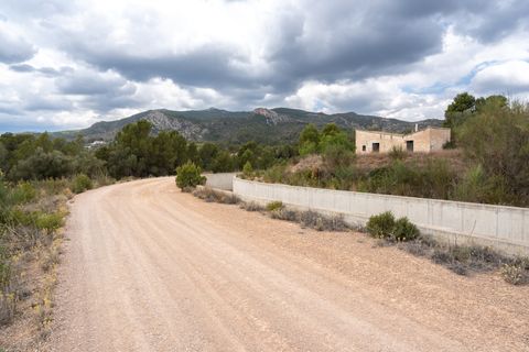 Finca i Xerta, Tarragona, Xerta - € 28.000 | Ref: 862 - foto 4