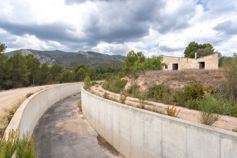Finca i Xerta, Tarragona, Xerta - € 28.000 | Ref: 862 - foto 3