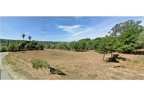 Helårsgrund i Tabua, Coimbra, Tabua - € 150.000 | Ref: TÁBUA - SINDE - foto 2