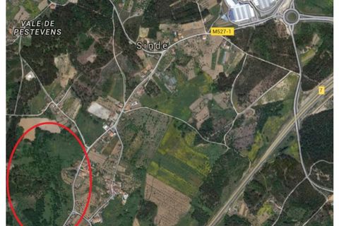 Helårsgrund i Tabua, Coimbra, Tabua - € 150.000 | Ref: TÁBUA - SINDE - foto 6