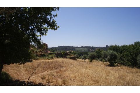 Helårsgrund i Tabua, Coimbra, Tabua - € 150.000 | Ref: TÁBUA - SINDE - foto 7