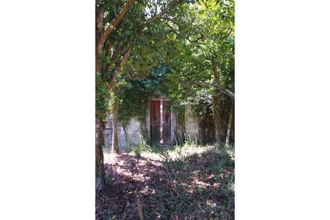 Helårsgrund i Tabua, Coimbra, Tabua - € 150.000 | Ref: TÁBUA - SINDE - foto 8