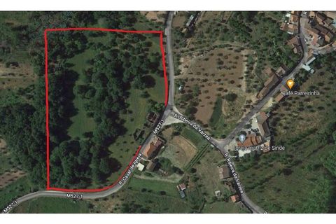 Helårsgrund i Tabua, Coimbra, Tabua - € 150.000 | Ref: TÁBUA - SINDE - foto 11